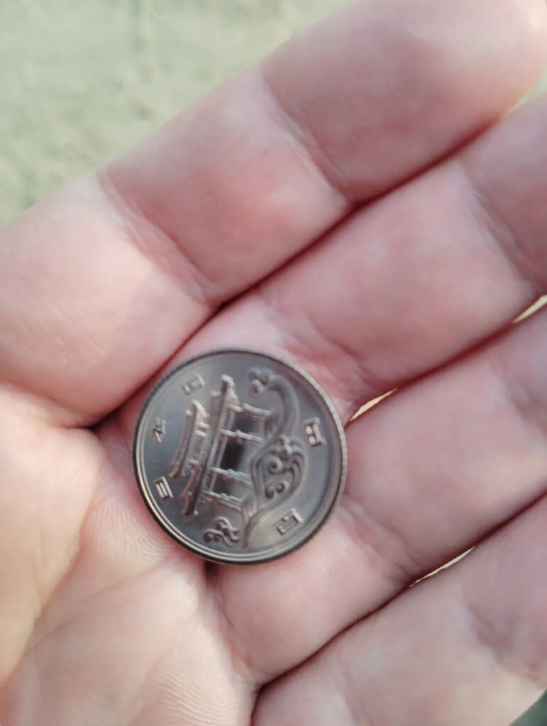 「日本国」「百円」とはあるけれど、絵柄は見慣れた桜でなく……一体これは？