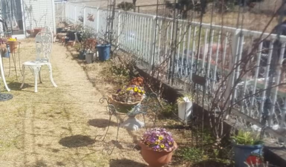 ごく普通の庭→主婦が10年以上かけて“100均DIY”したら……　感動の光景に「凄すぎです」「本当に憧れの美しいお庭」（1/3） | リフォーム・リノベーション・DIY ねとらぼ