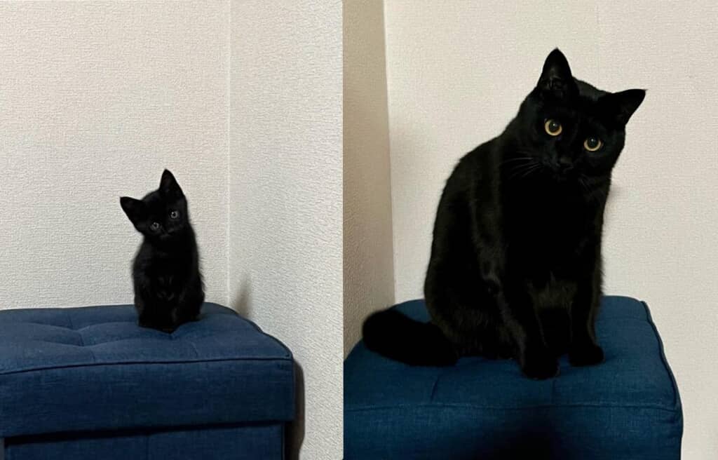 驚きのビフォーアフター！