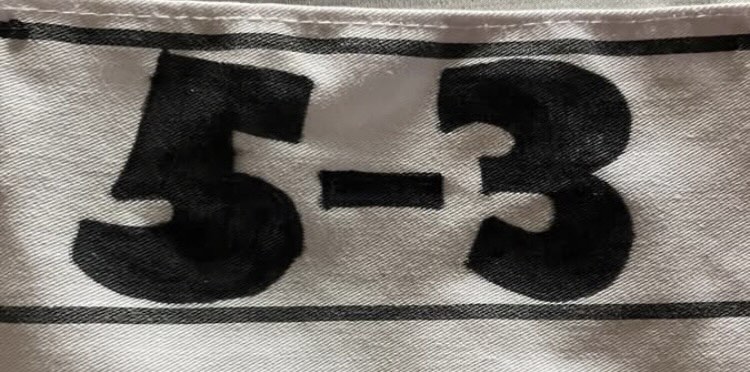 よく見ると「4年5組」の面影も感じられる「5年3組」のゼッケン