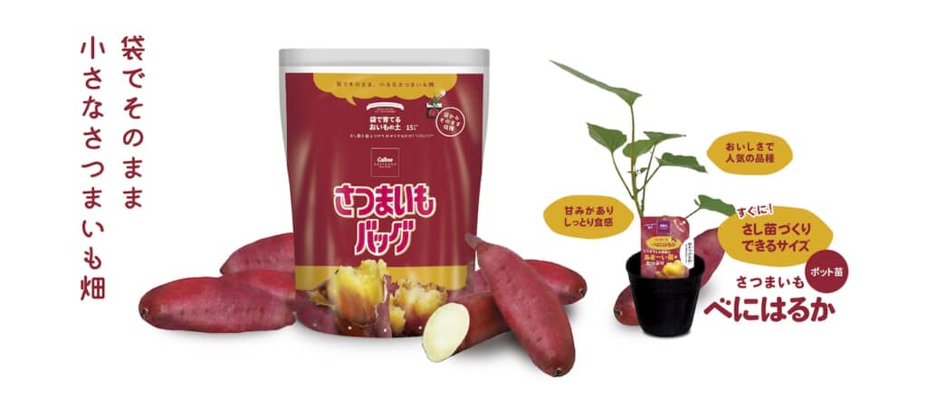 袋からそのまま収穫