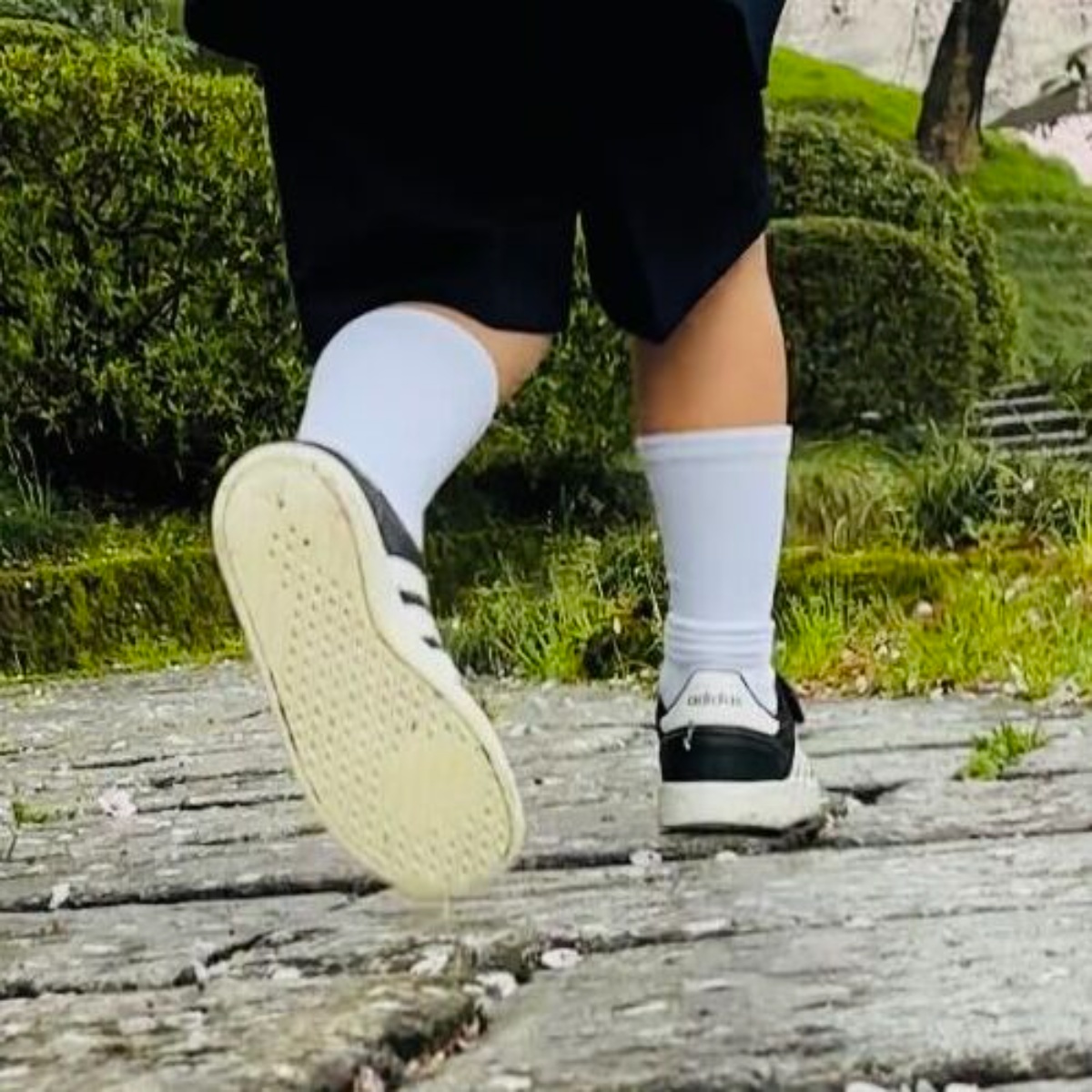 10年前に買った長女のランドセル→春から小学生の息子が背負うと……　驚きの姿に「えぇっ、おさがりですか？」「やっぱり女の子はすごい」（1/3） | ライフスタイル ねとらぼ