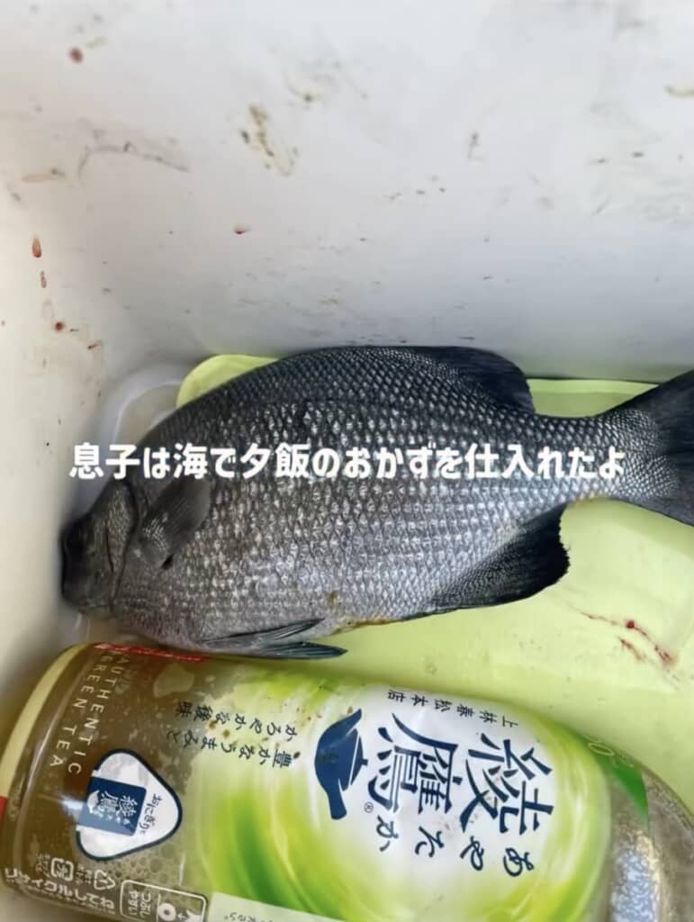 大きな魚が釣れました！