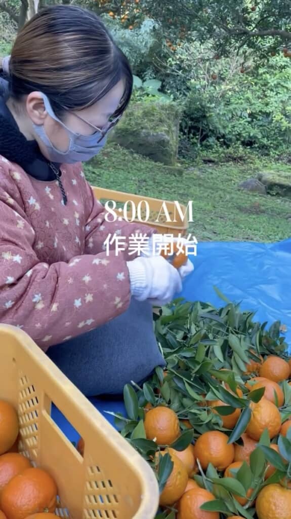 農家としてみっちり働きます