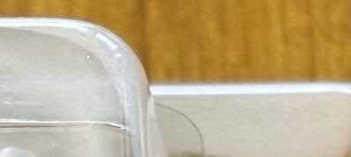 新潟県の気になる銘菓は……