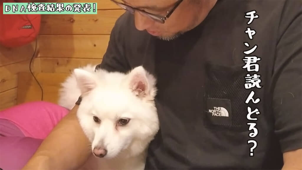 なにやら真剣な表情のチャンくん