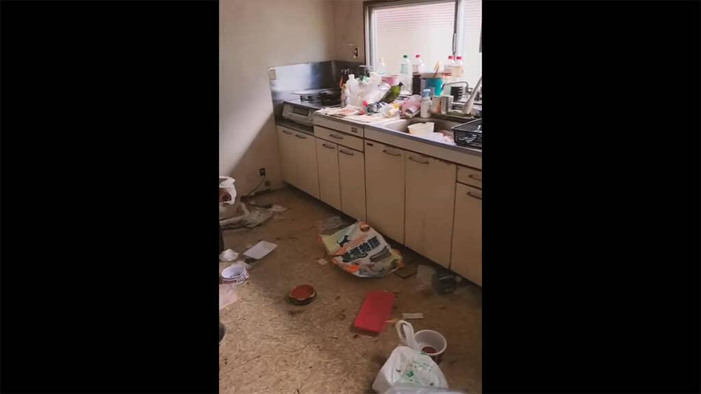 チャンくんが暮らしていた現場は、かなり荒れていたようです