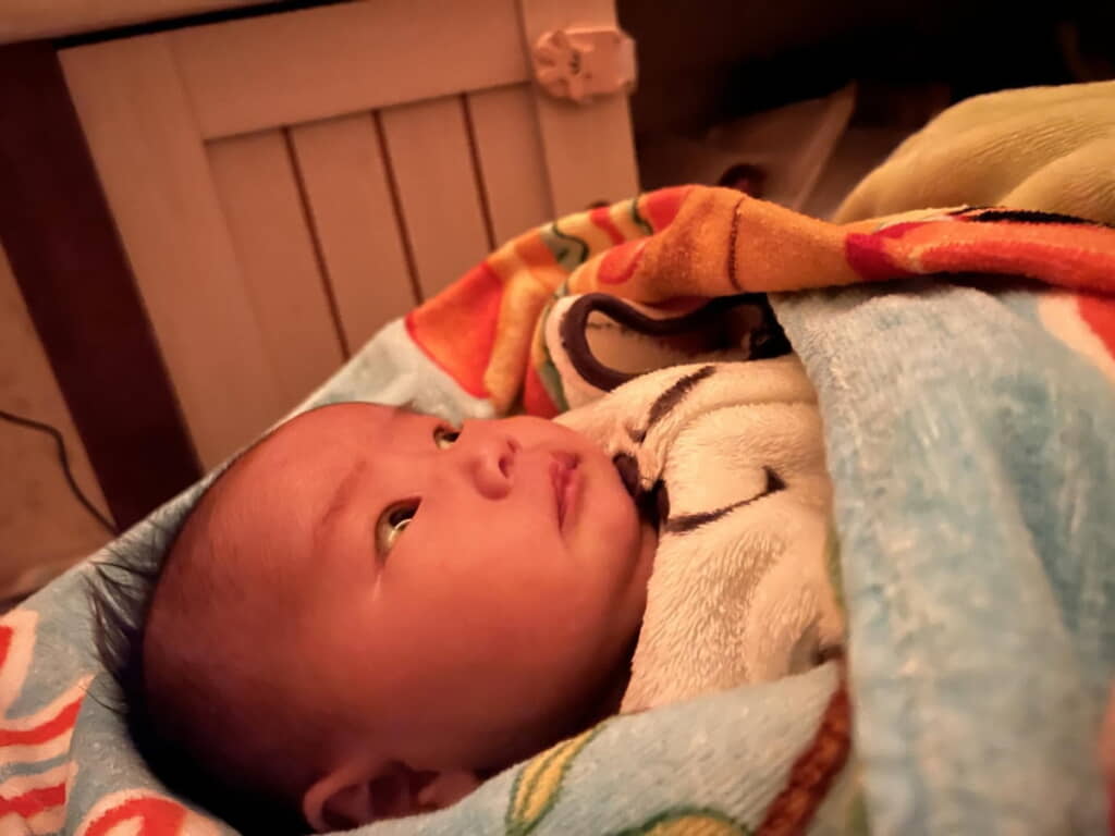 さっき寝たよね……？