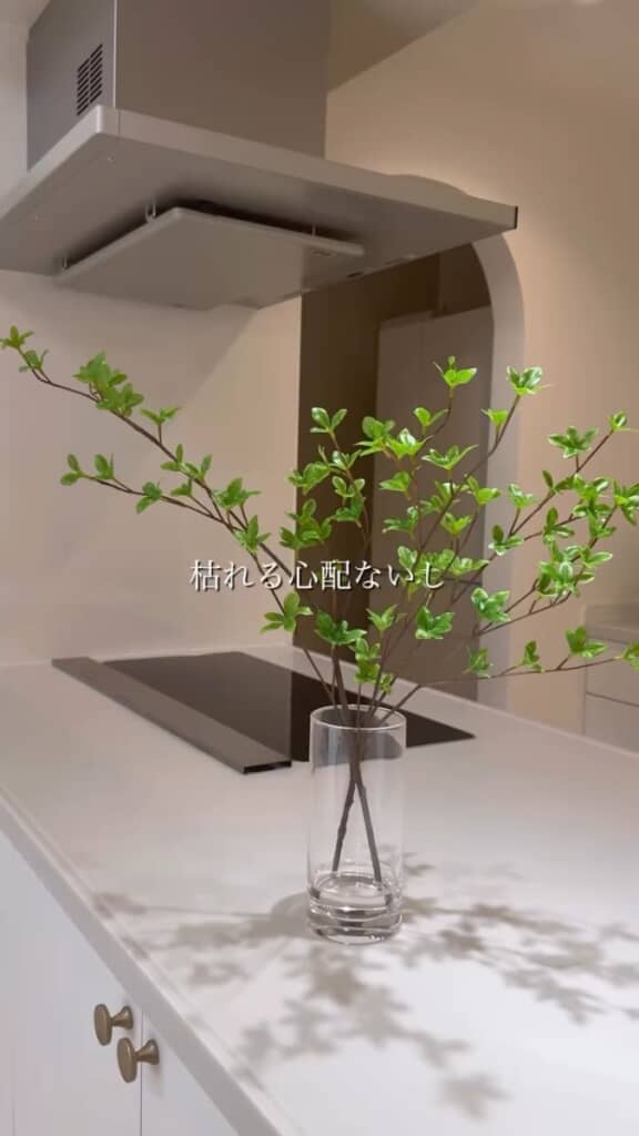 観葉植物を購入