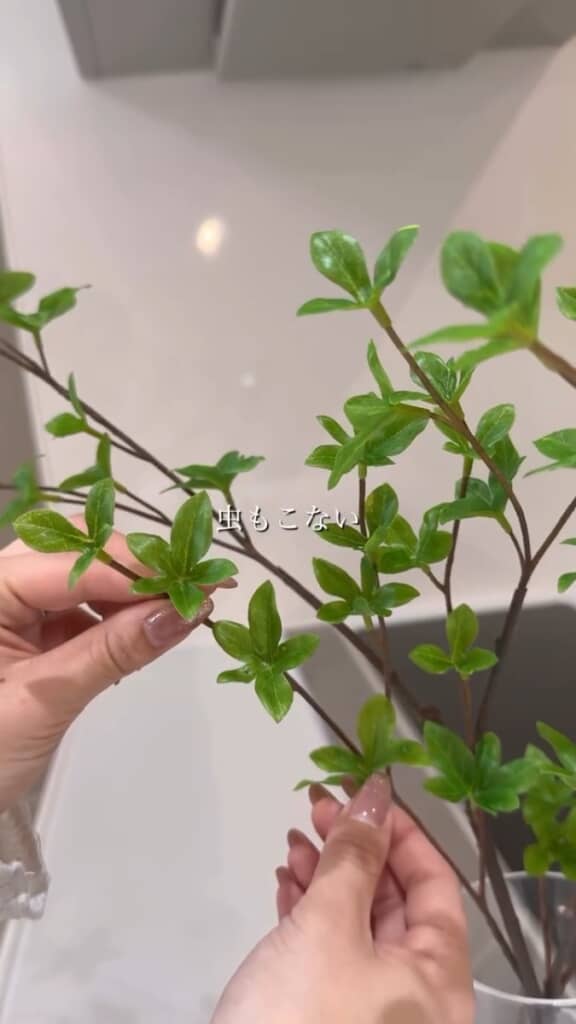 実はフェイクグリーン