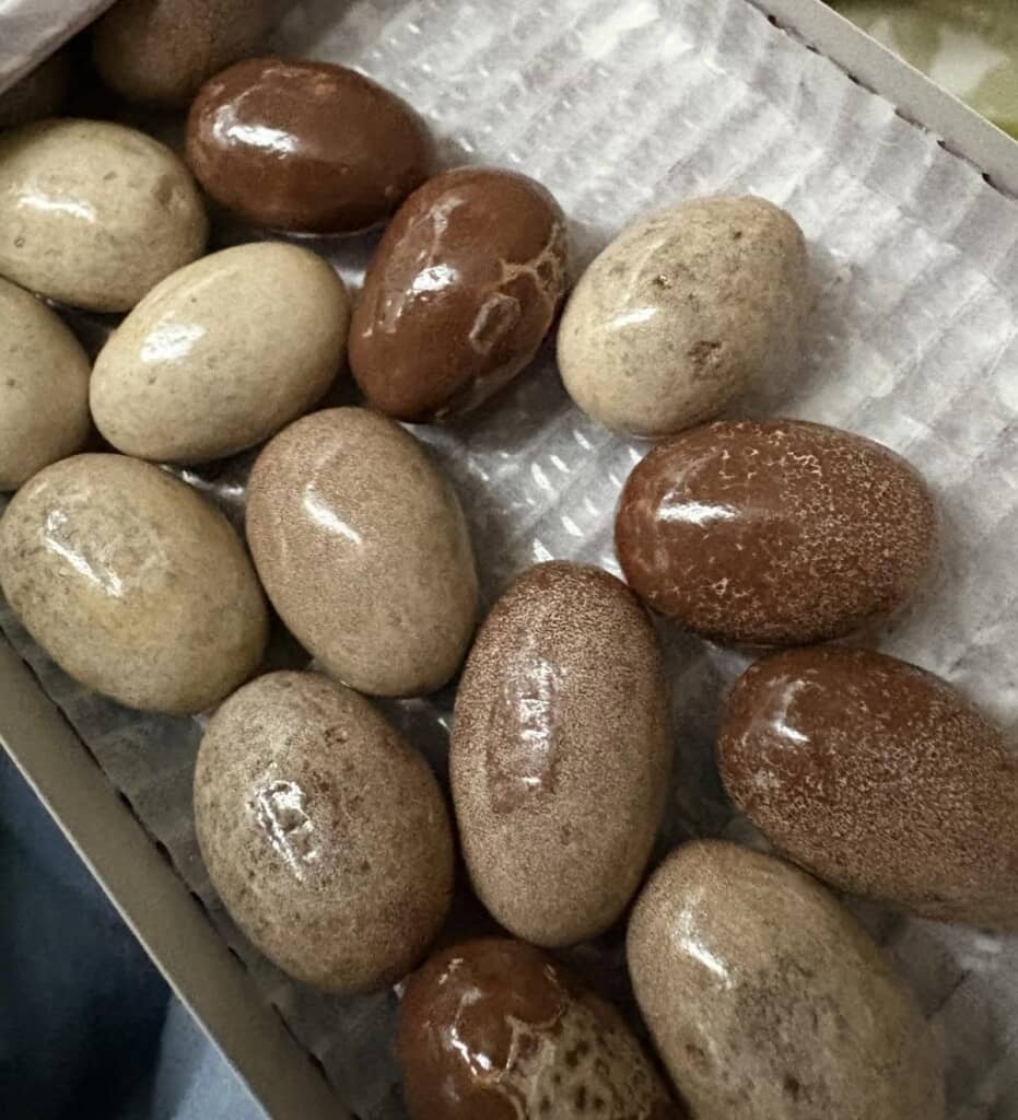 まだら＆真っ白になったチョコレート