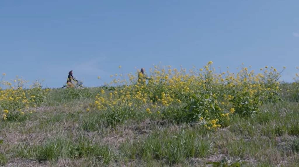自転車に乗ってお花見へ