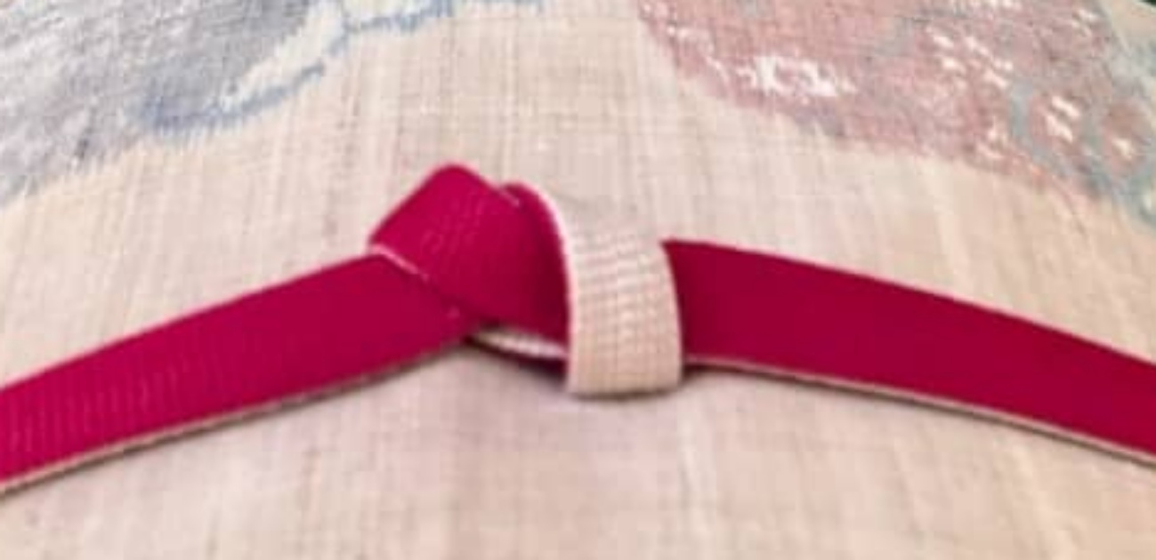 「変な着物選手権します」着物姿の女性→近づいてよく見ると……　“まさかの光景”に反響続々「たのしいー！」「皆様強すぎて」（1/2） | ファッション ねとらぼ