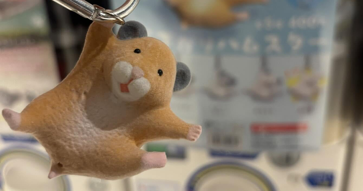 ←カプセルトイで当たったキーホルダー　家のハムスター→　衝撃の姿に思わず二度見「やめてもろてw」「ここまで似てるとは」（1/2） | 小動物 ねとらぼ