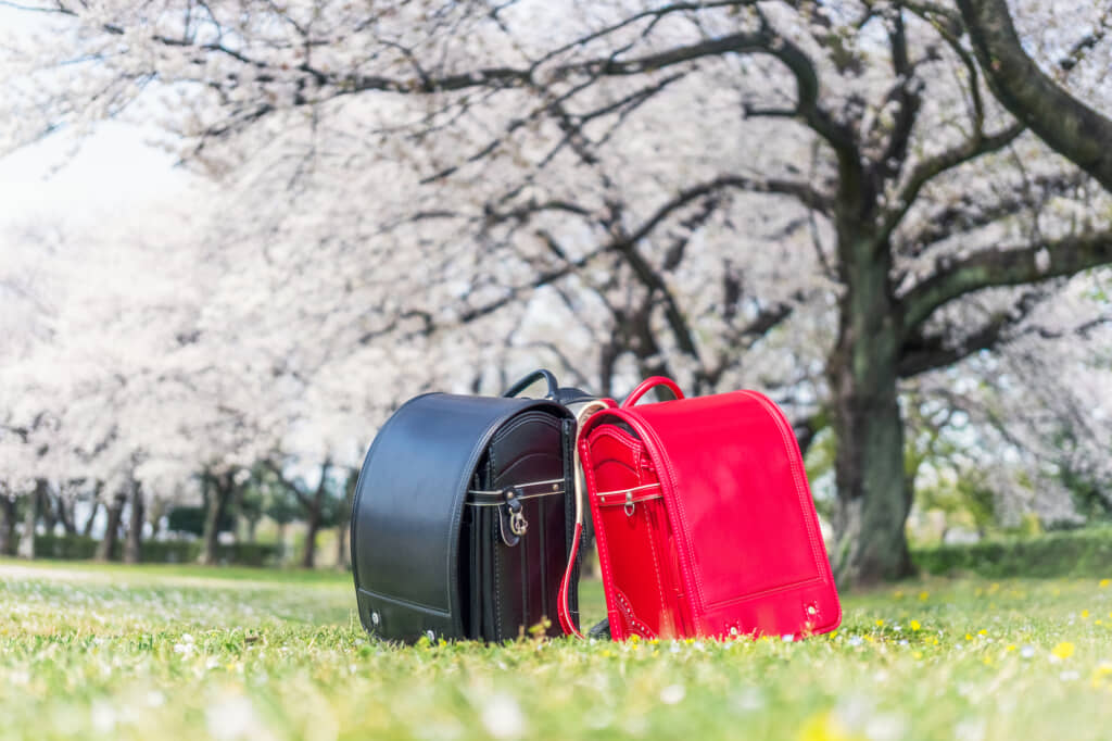 入学式のイメージ