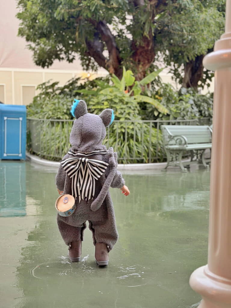 水溜りでパチャパチャ遊んでます