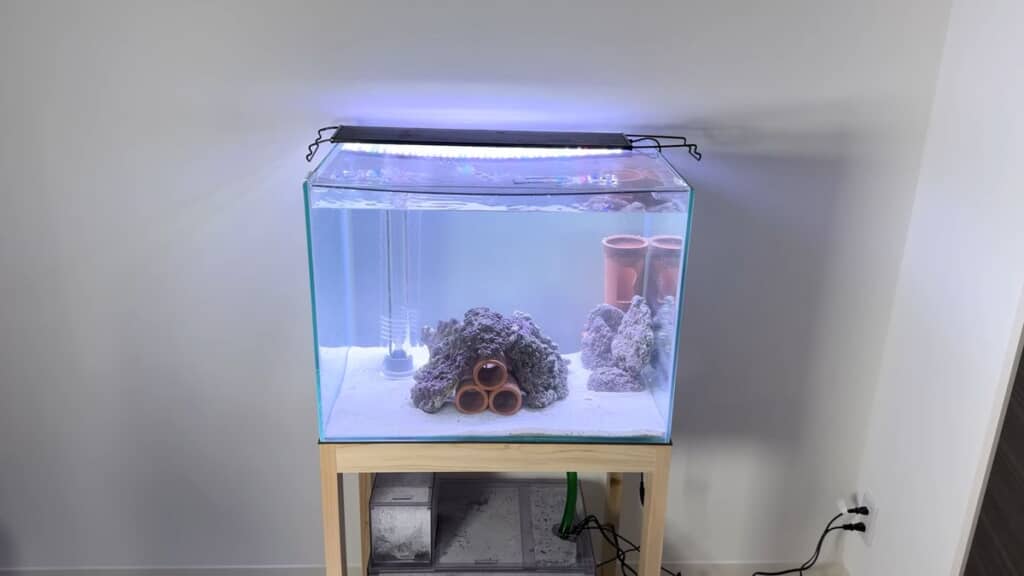 ウツボのために土管を置いた水槽