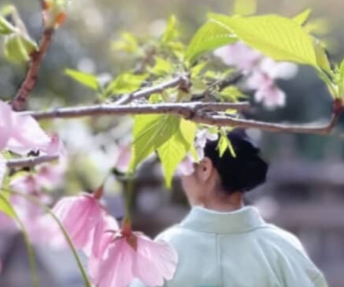 「この帯は春限定」“空色の着物”に合わせたら……　よくほめられるコーデに「心が洗われます」「目が幸せになる」（1/3） | ファッション ねとらぼ