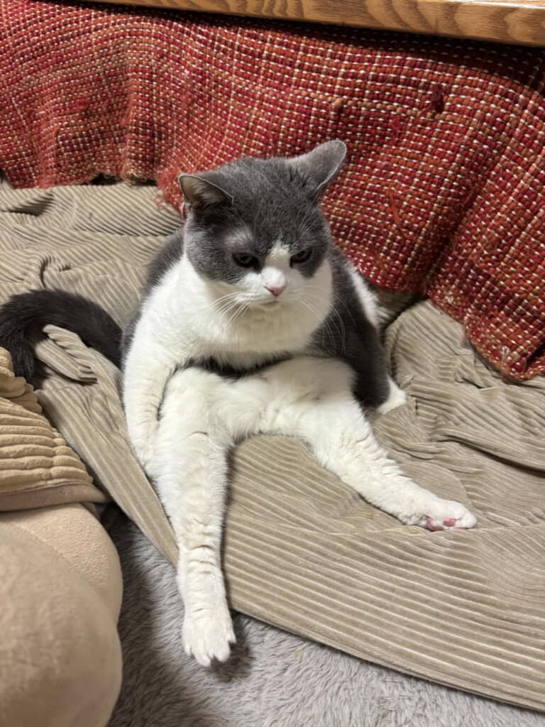 もちもち長女ちゃん
