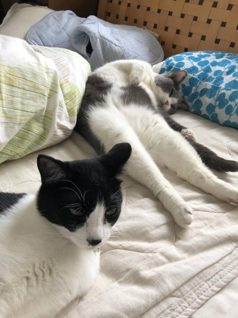 キリッと次女ちゃん

