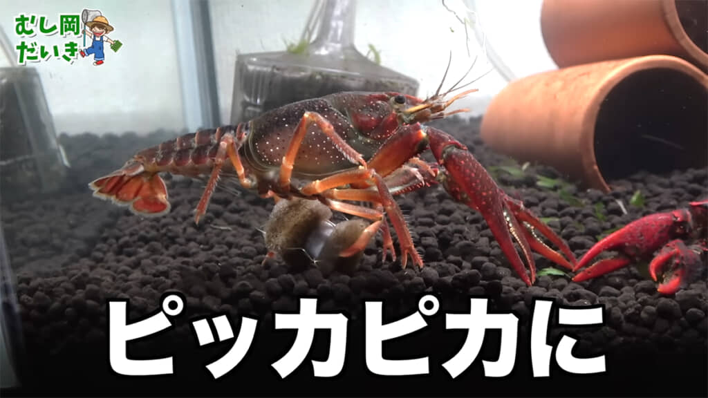 カビだらけだったはずがピッカピカに……！