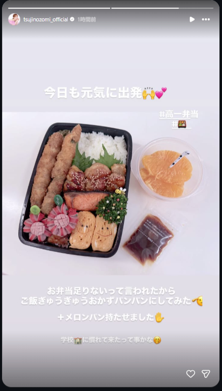 おかずたっぷりのお弁当(画像は辻希美Instagramのストーリーズから)