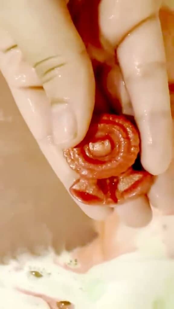 出てきたのはファイアフラワー（分かりやすいよう、画像を180度回転しています）