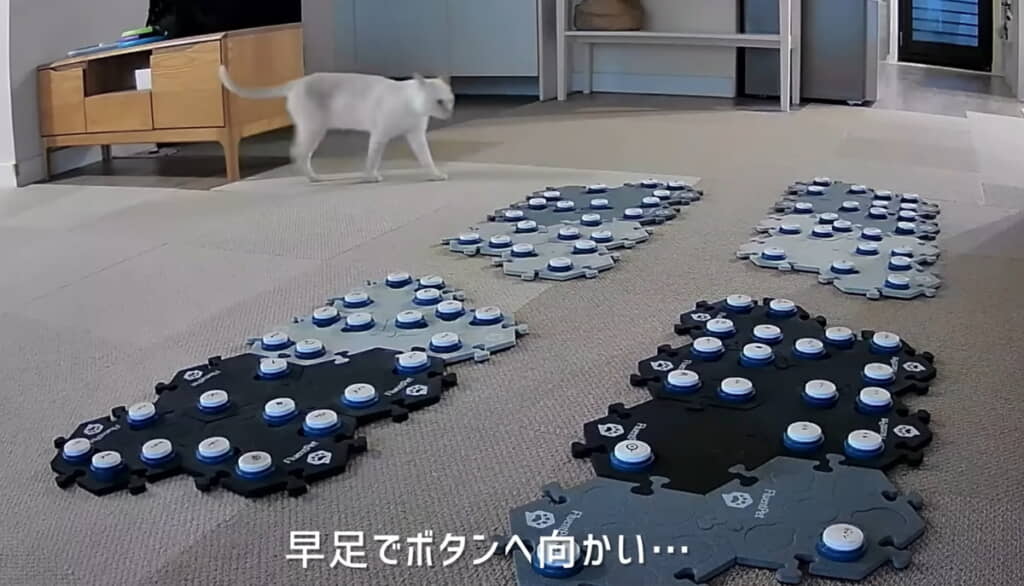 決定的瞬間が映っていました