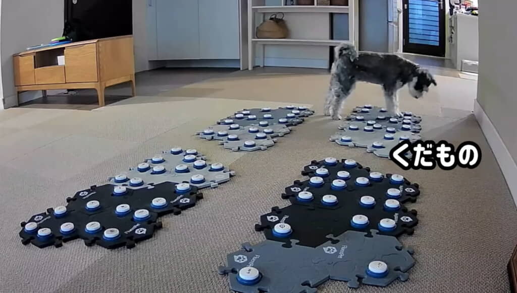 デザートが食べたいモネちゃん