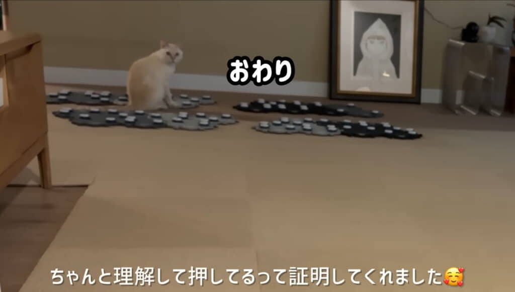 理解して押してる……！