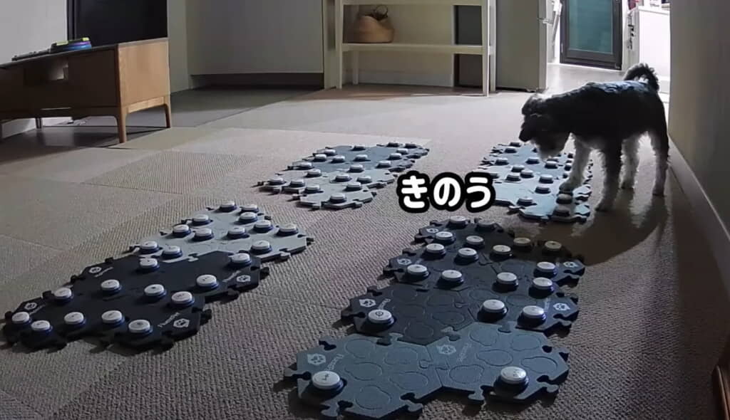 「きのう」の意味が分かるモネちゃんもすごい