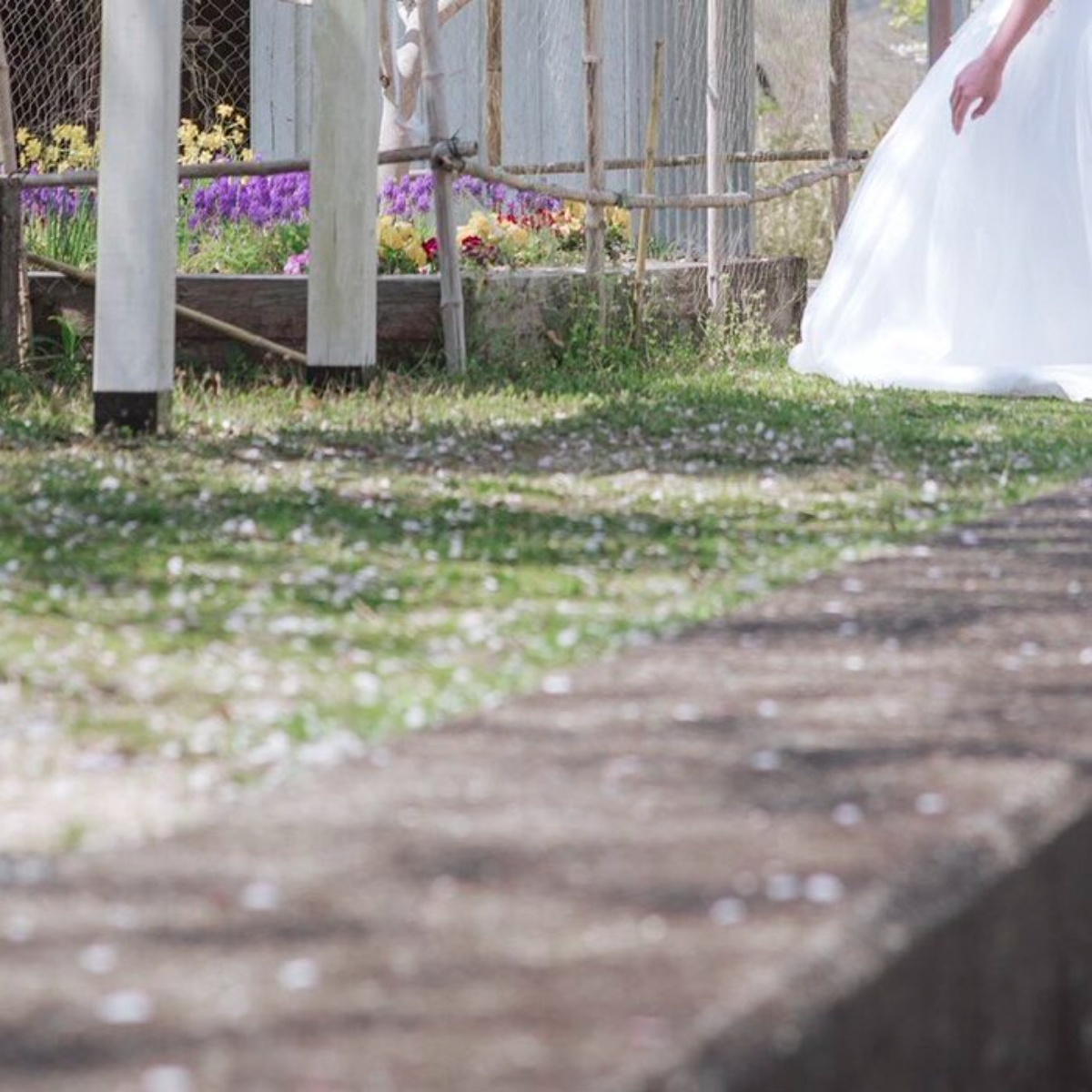 47都道府県でウエディングフォトを撮影する新婚カップル　思わず声をかけたくなる光景に「これしたい！」「マジで素敵すぎる」（1/3） | ライフスタイル ねとらぼ