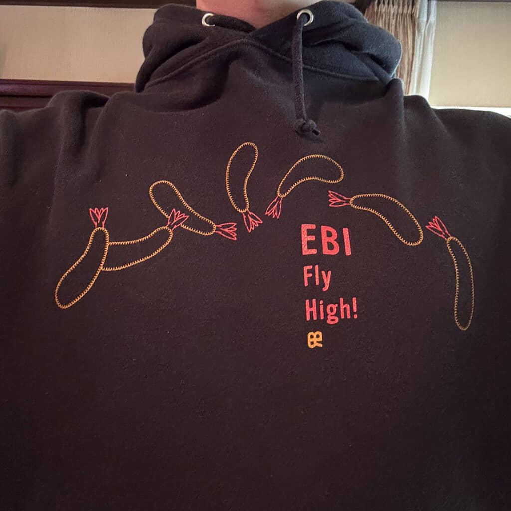 エビ……フライハイ!?