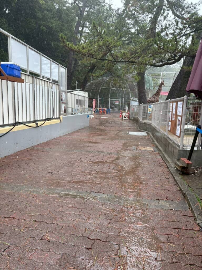 桂浜は波が荒いし普段から風も強そう