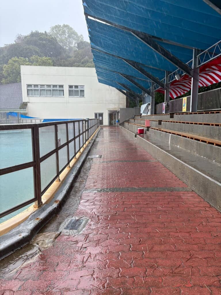 大荒れの天気で飛んできた殺傷能力の高い“殺ぼっくり”にご注意を