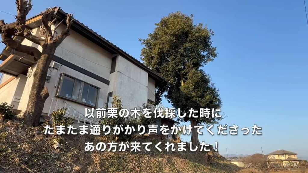 屋根よりも高い木