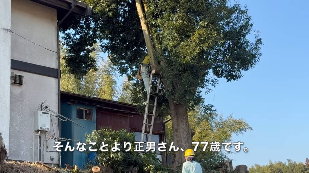 77歳の空師