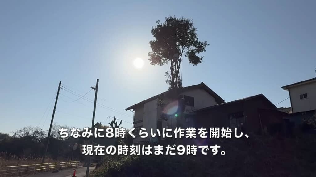 開始から1時間ほどで大半の枝がなくなった木