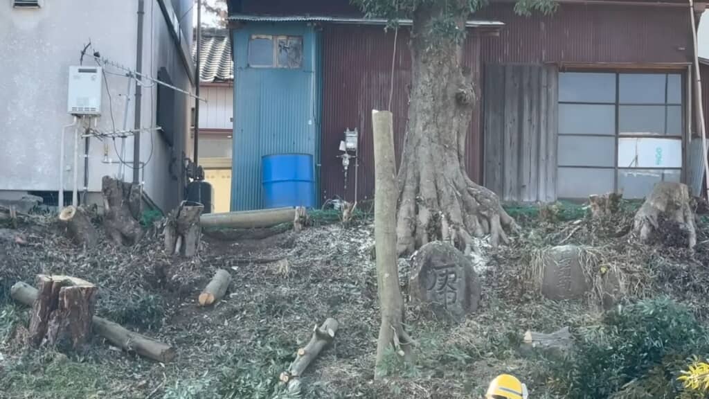 落下して地面に突き刺さった幹
