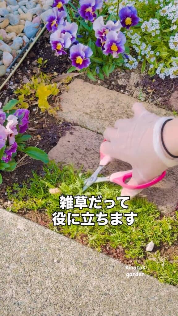 雑草が役立つってどういうこと？