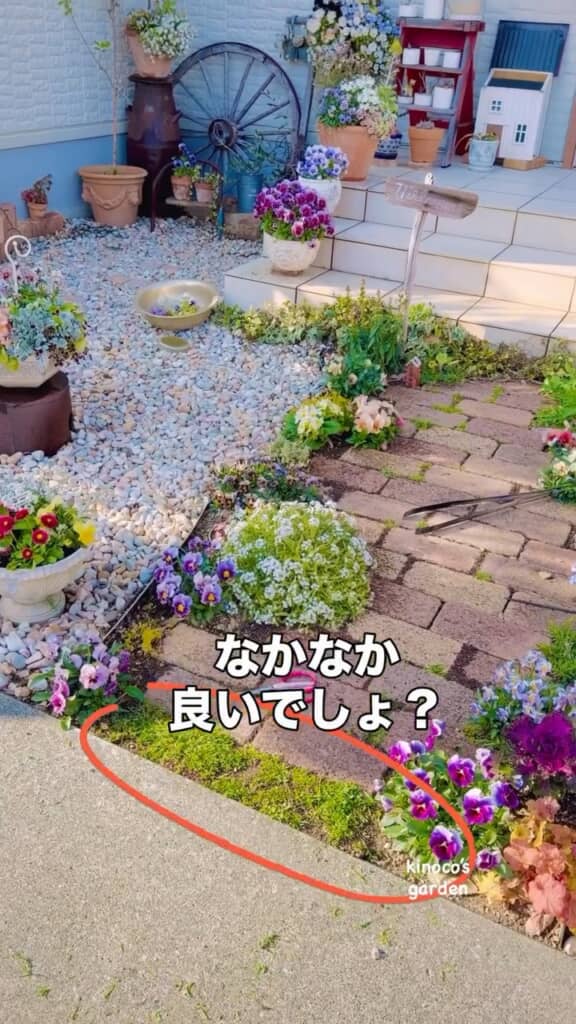 雑草も緑のじゅうたんとして活用