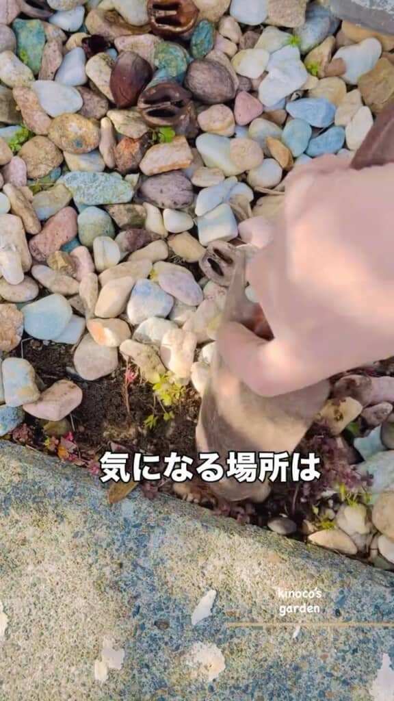 気になるところはしっかり草を刈る