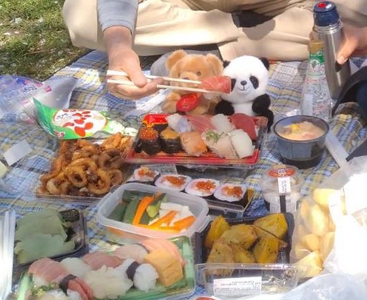 パンダのぬいちゃん、お寿司食べさせてもらって、良いですね！