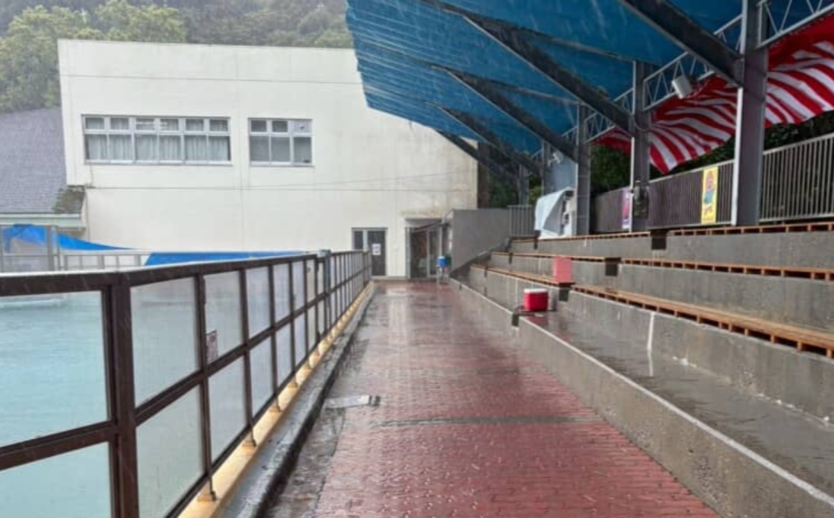 高知県の桂浜水族館→強風により現れたのは……　飛んでくる“まさかの物体”が500万表示「初めて聞く単語」「いっそお土産に」（1/2） | 高知県 ねとらぼ