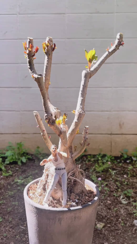 新たな生命の息吹きが！