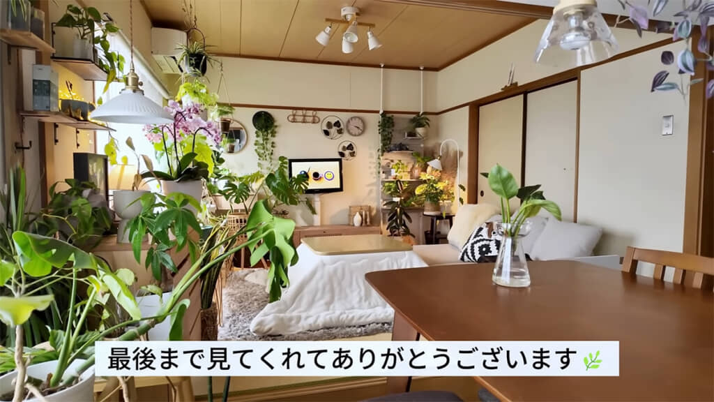 100均植物がすくすく育つリビングの紹介でした