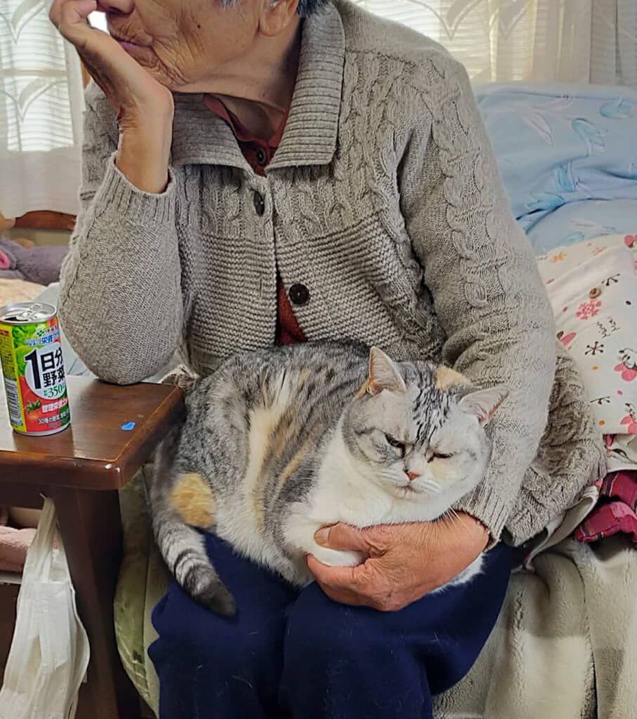 めちゃくちゃイヤそう……！