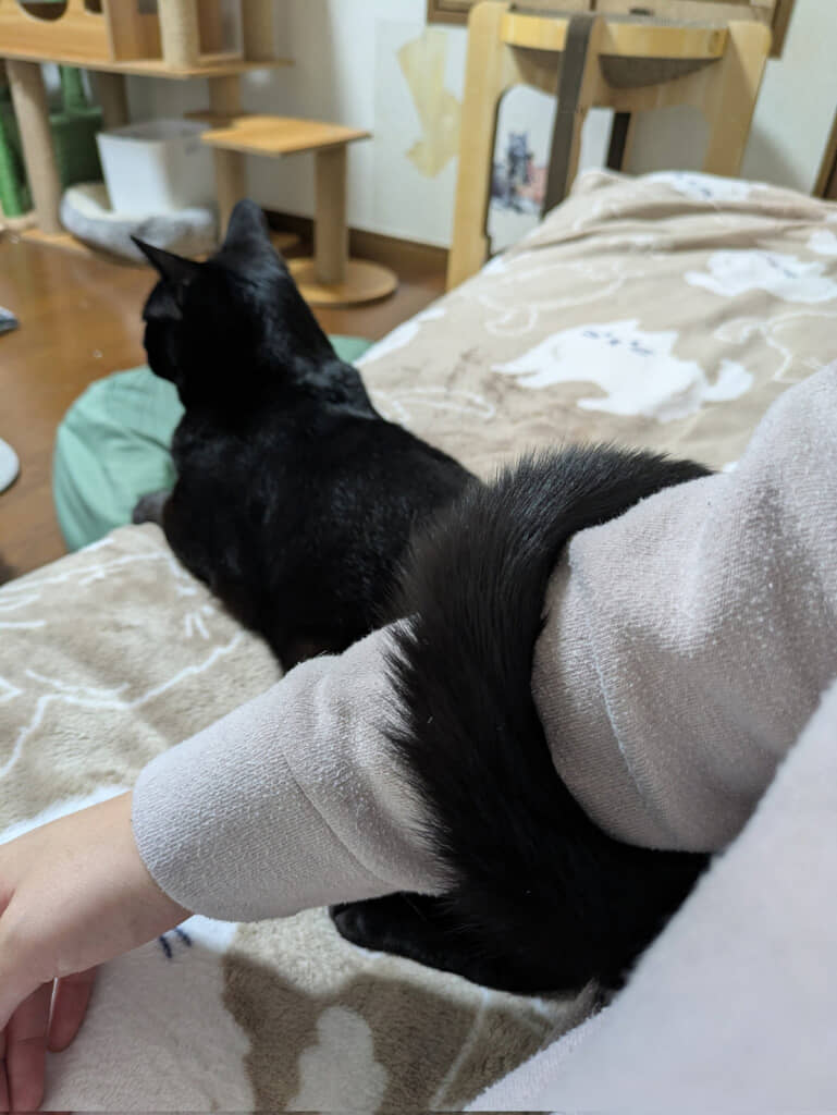 しっぽでデレてる！