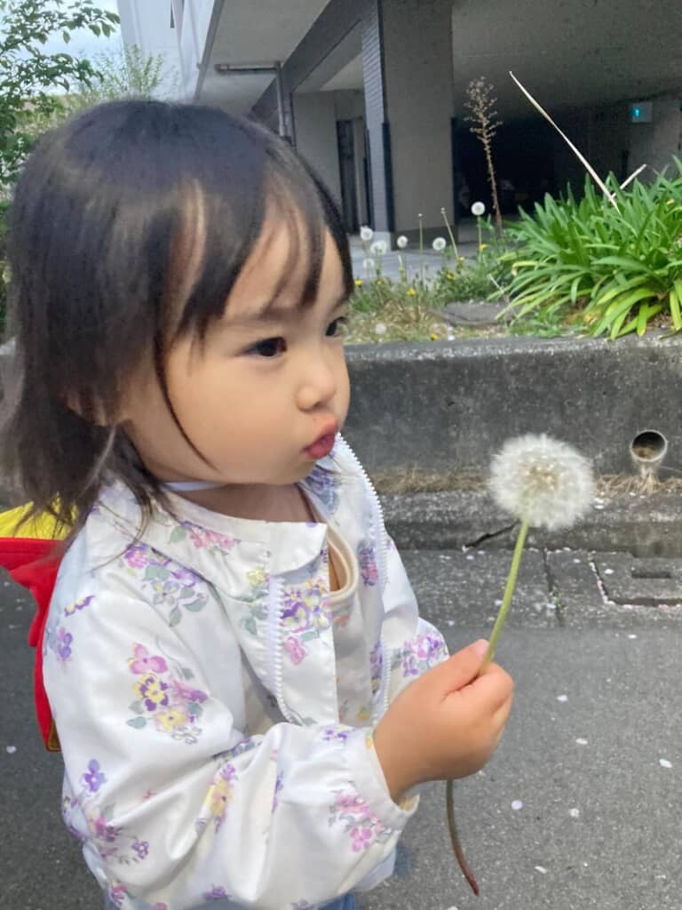 たんぽぽを持つ娘ちゃん