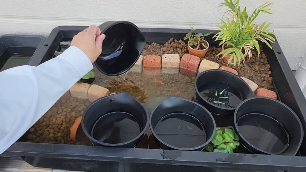 導入作業の様子と泳ぎ回るメダカ